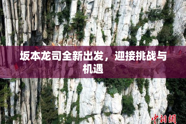 坂本龙司全新出发，迎接挑战与机遇