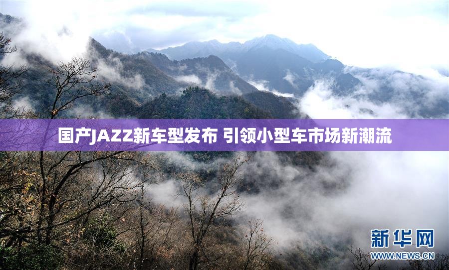 国产JAZZ新车型发布 引领小型车市场新潮流