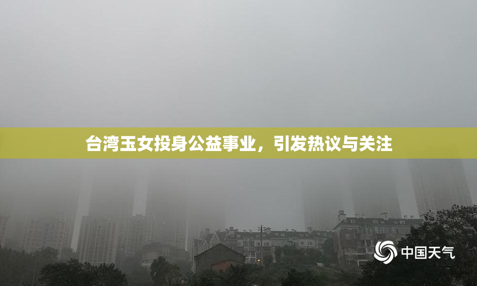 台湾玉女投身公益事业，引发热议与关注