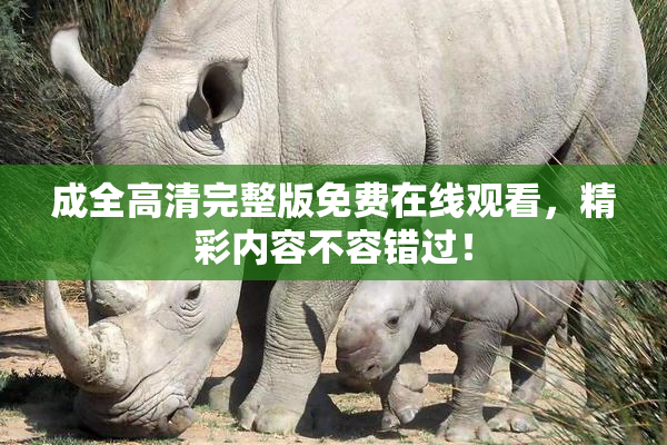 成全高清完整版免费在线观看，精彩内容不容错过！
