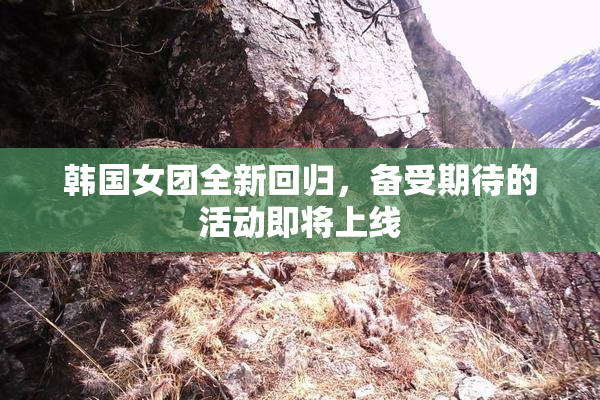 韩国女团全新回归，备受期待的活动即将上线