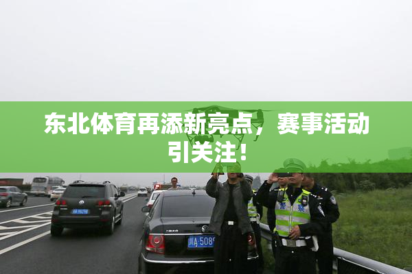 东北体育再添新亮点，赛事活动引关注！