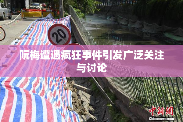 阮梅遭遇疯狂事件引发广泛关注与讨论