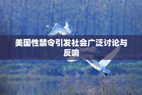 美国性禁令引发社会广泛讨论与反响