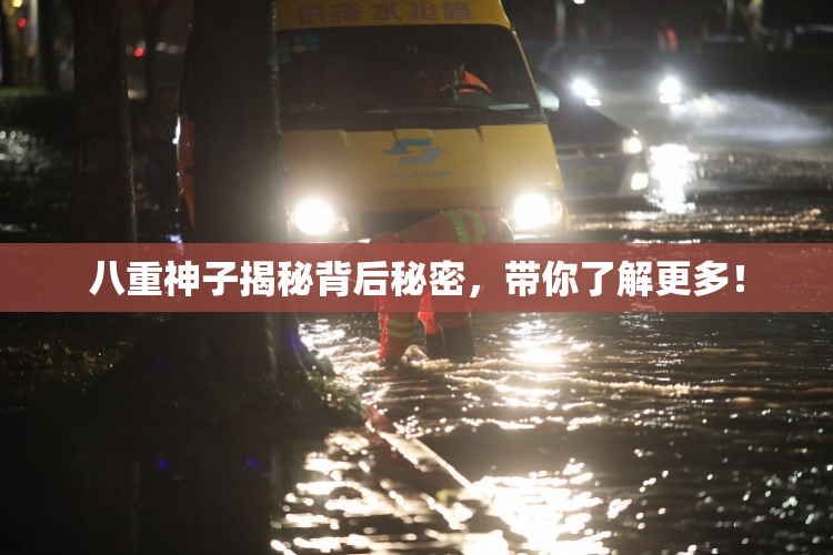 八重神子揭秘背后秘密，带你了解更多！