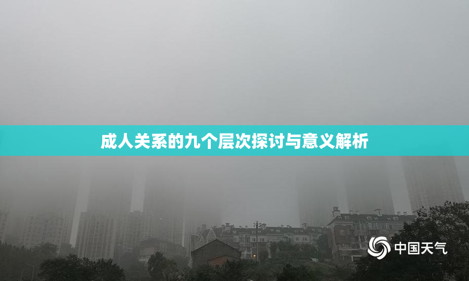成人关系的九个层次探讨与意义解析