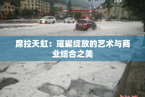 席拉天虹：璀璨绽放的艺术与商业结合之美
