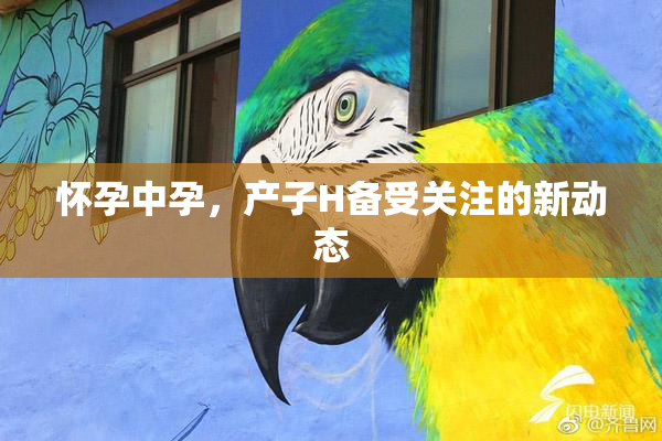 怀孕中孕，产子H备受关注的新动态