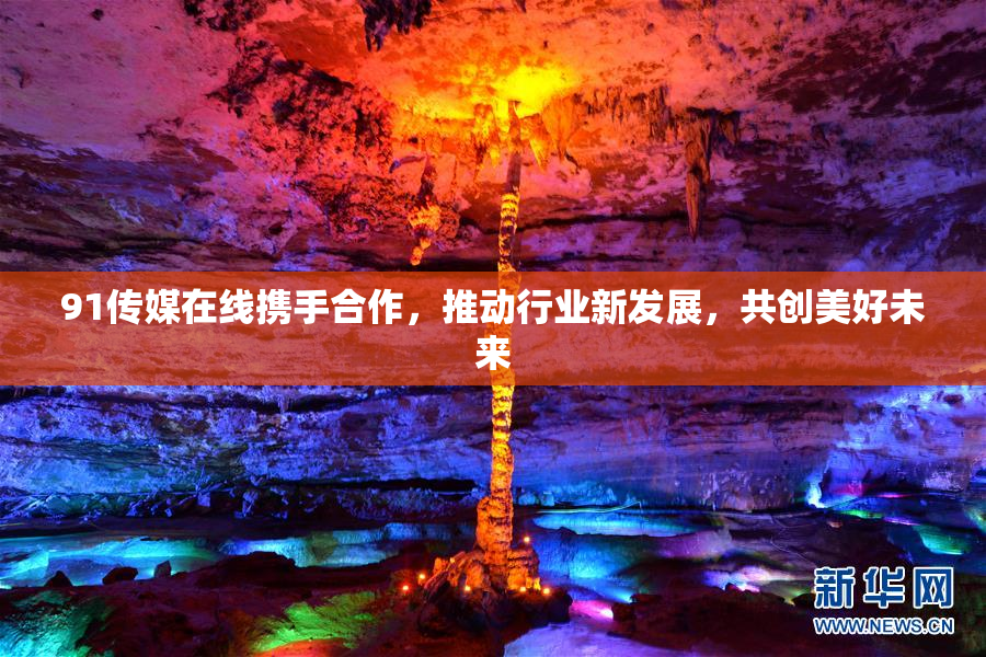 91传媒在线携手合作，推动行业新发展，共创美好未来
