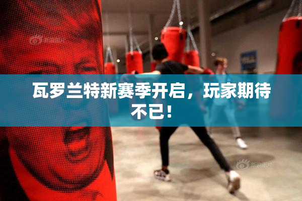 瓦罗兰特新赛季开启，玩家期待不已！