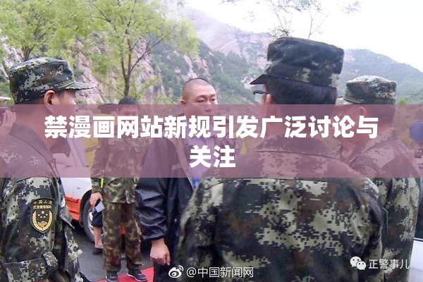 禁漫画网站新规引发广泛讨论与关注