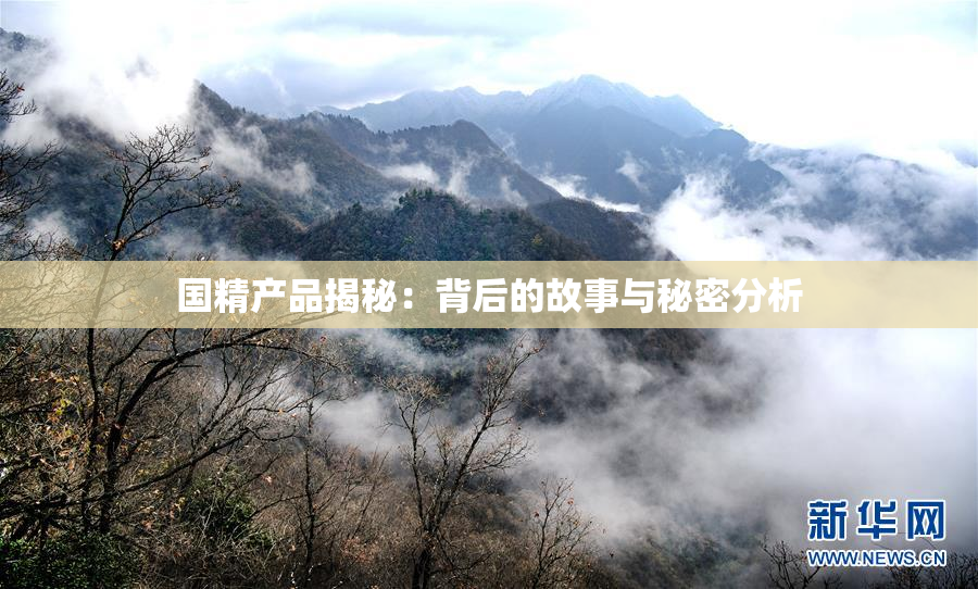 国精产品揭秘：背后的故事与秘密分析
