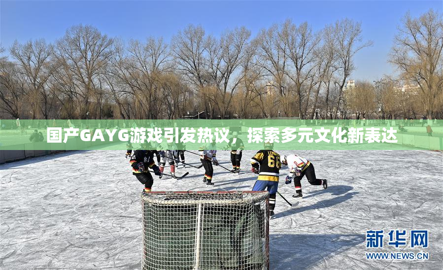 国产GAYG游戏引发热议，探索多元文化新表达