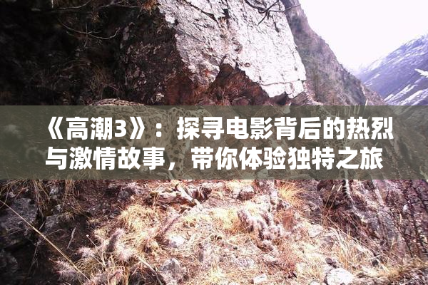 《高潮3》：探寻电影背后的热烈与激情故事，带你体验独特之旅。