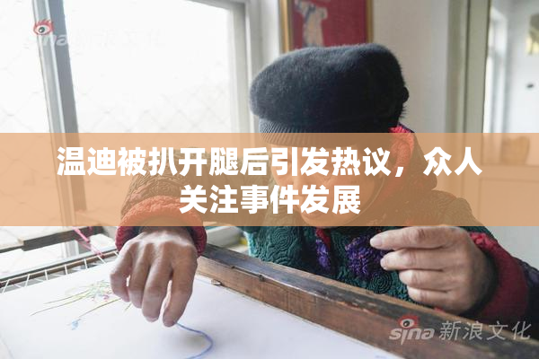 温迪被扒开腿后引发热议，众人关注事件发展