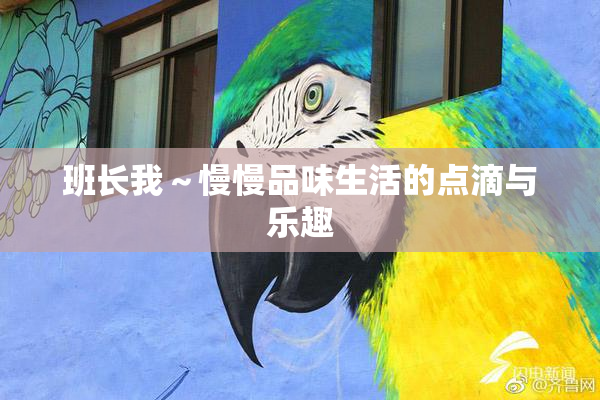 班长我～慢慢品味生活的点滴与乐趣