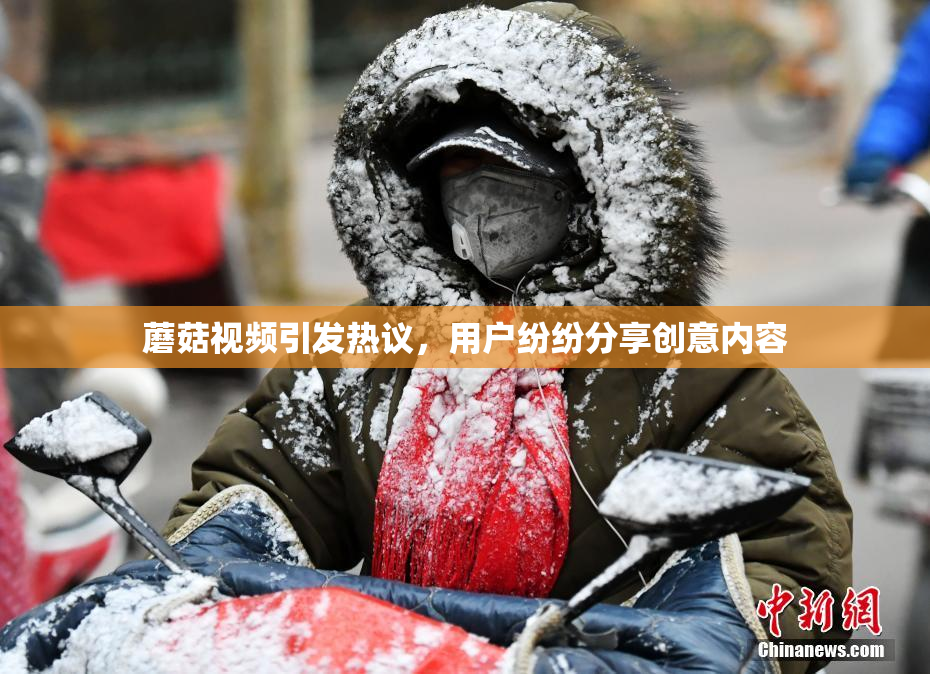 蘑菇视频引发热议，用户纷纷分享创意内容
