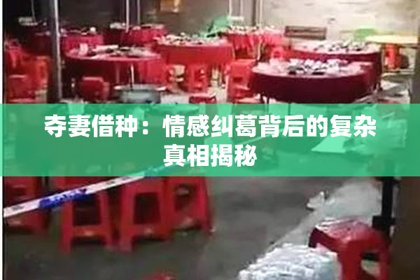 夺妻借种：情感纠葛背后的复杂真相揭秘