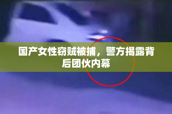 国产女性窃贼被捕，警方揭露背后团伙内幕