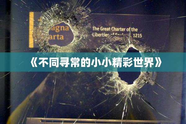 《不同寻常的小小精彩世界》