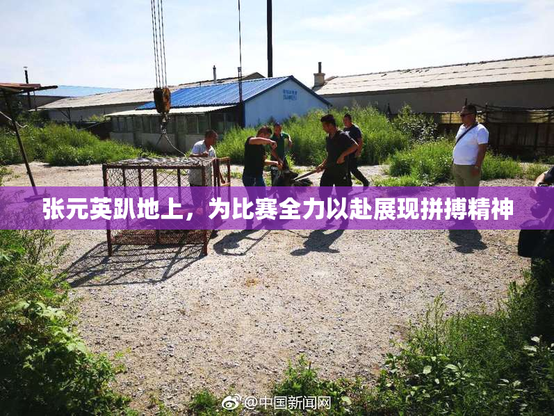 张元英趴地上，为比赛全力以赴展现拼搏精神