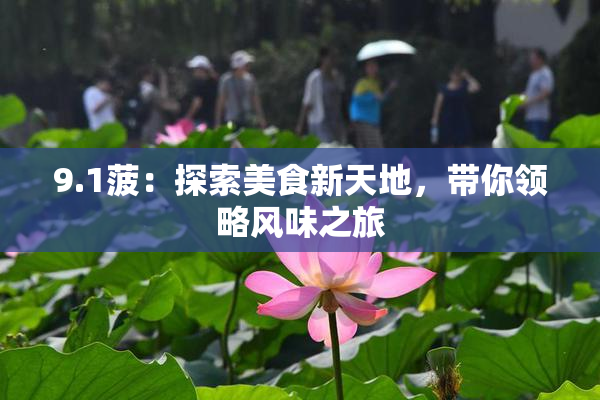9.1菠：探索美食新天地，带你领略风味之旅