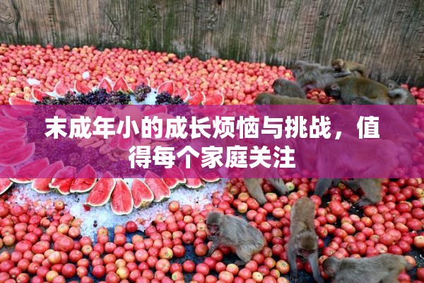 末成年小的成长烦恼与挑战，值得每个家庭关注