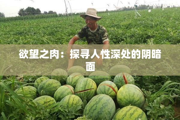 欲望之肉：探寻人性深处的阴暗面