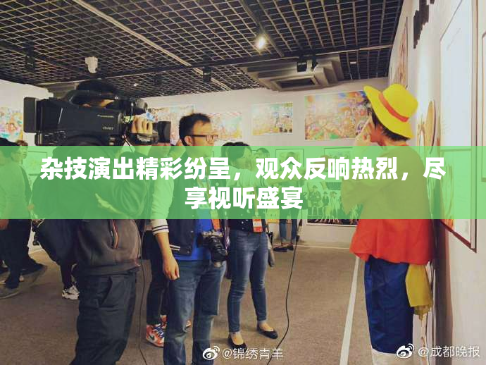 杂技演出精彩纷呈，观众反响热烈，尽享视听盛宴