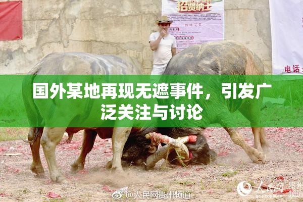 国外某地再现无遮事件，引发广泛关注与讨论