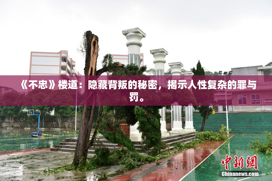 《不忠》楼道：隐藏背叛的秘密，揭示人性复杂的罪与罚。