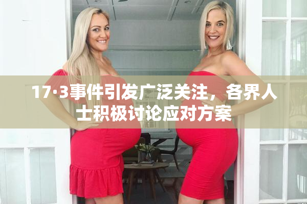 17·3事件引发广泛关注，各界人士积极讨论应对方案