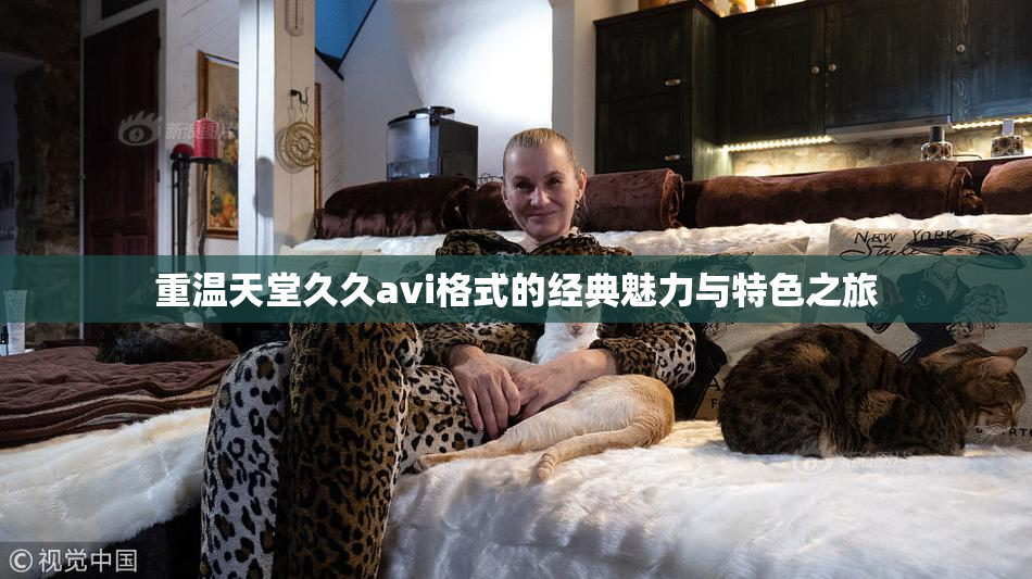 重温天堂久久avi格式的经典魅力与特色之旅