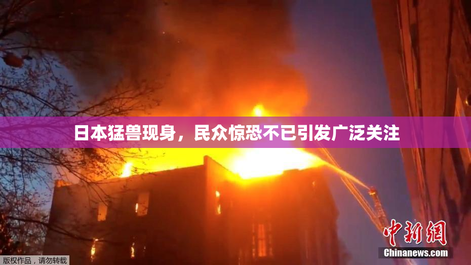 日本猛兽现身，民众惊恐不已引发广泛关注