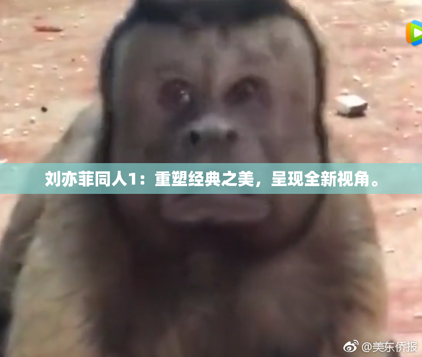 刘亦菲同人1：重塑经典之美，呈现全新视角。