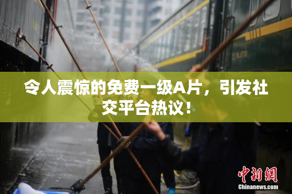 令人震惊的免费一级A片，引发社交平台热议！