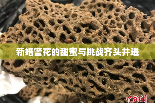 新婚警花的甜蜜与挑战齐头并进
