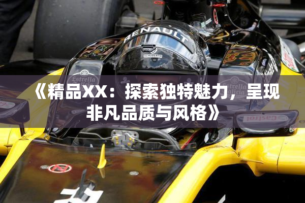 《精品XX：探索独特魅力，呈现非凡品质与风格》