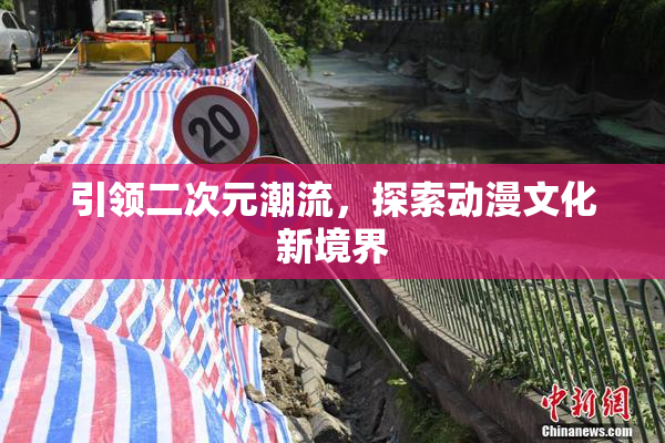 引领二次元潮流，探索动漫文化新境界