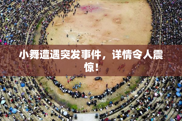 小舞遭遇突发事件，详情令人震惊！