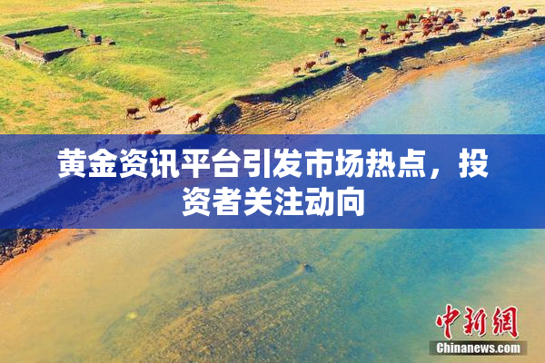 黄金资讯平台引发市场热点，投资者关注动向