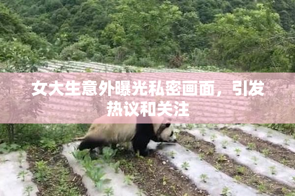 女大生意外曝光私密画面，引发热议和关注