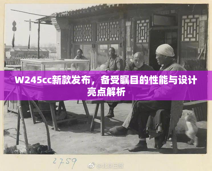 W245cc新款发布，备受瞩目的性能与设计亮点解析