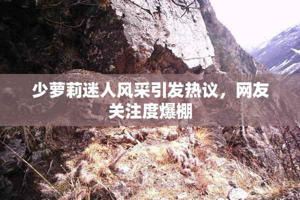 少萝莉迷人风采引发热议，网友关注度爆棚