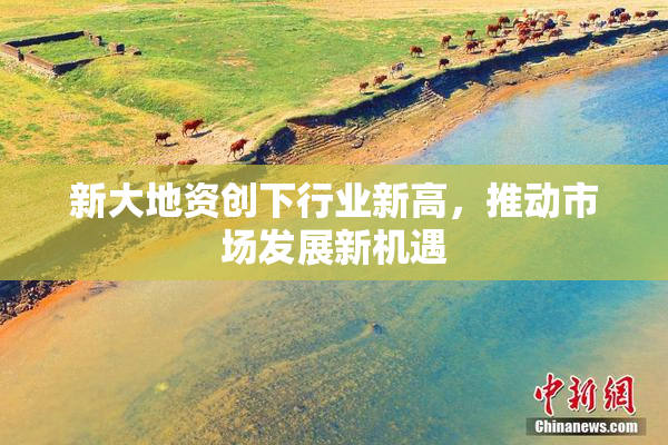 新大地资创下行业新高，推动市场发展新机遇