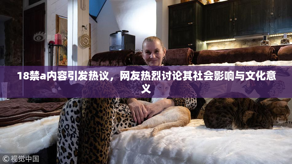 18禁a内容引发热议，网友热烈讨论其社会影响与文化意义