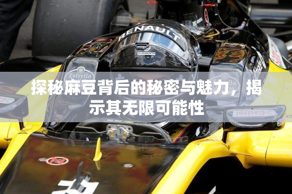 探秘麻豆背后的秘密与魅力，揭示其无限可能性