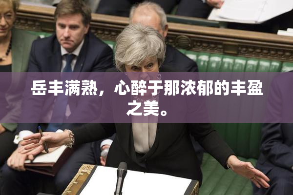 岳丰满熟，心醉于那浓郁的丰盈之美。