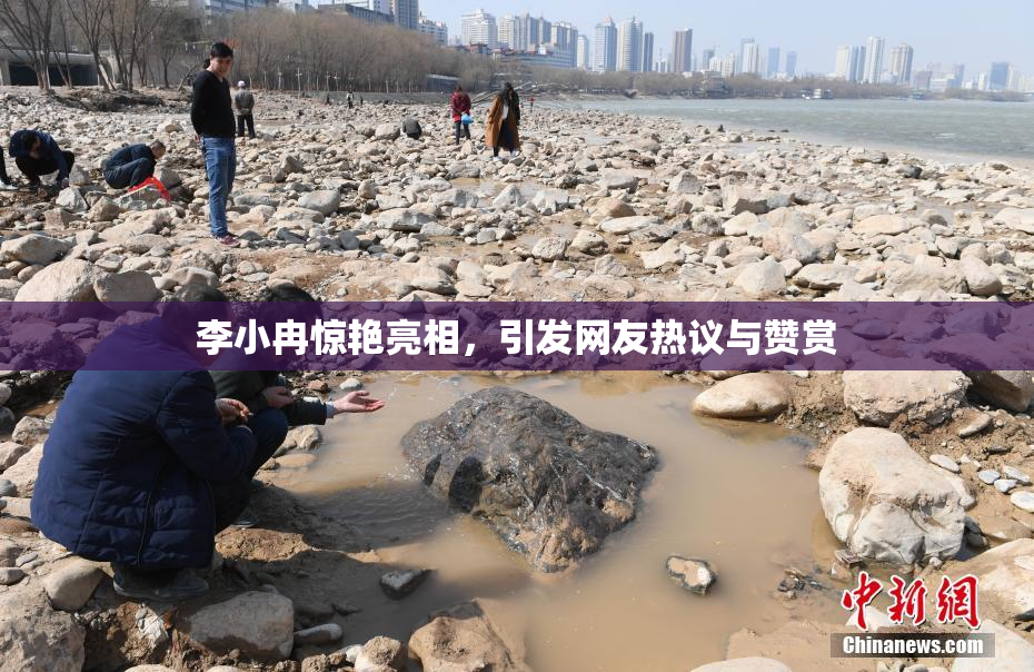 李小冉惊艳亮相，引发网友热议与赞赏