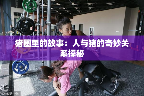 猪圈里的故事：人与猪的奇妙关系探秘